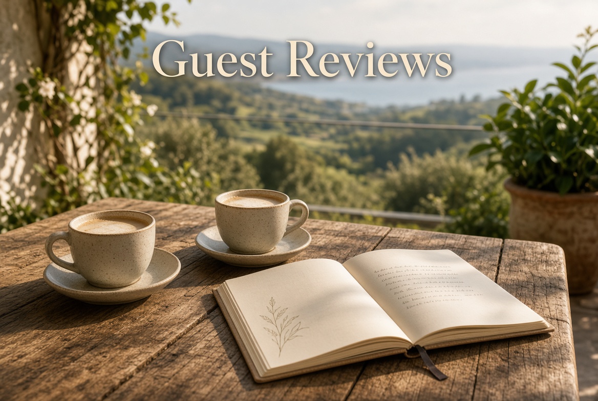 Guest Reviews
